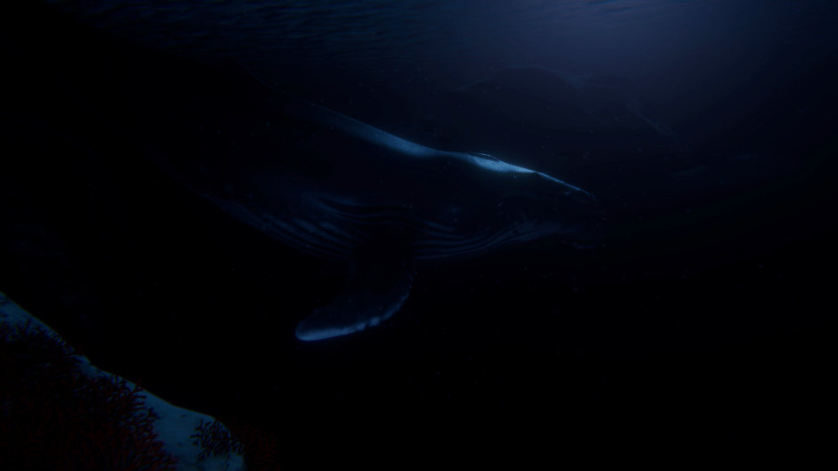 Beyond Blue Screenshot