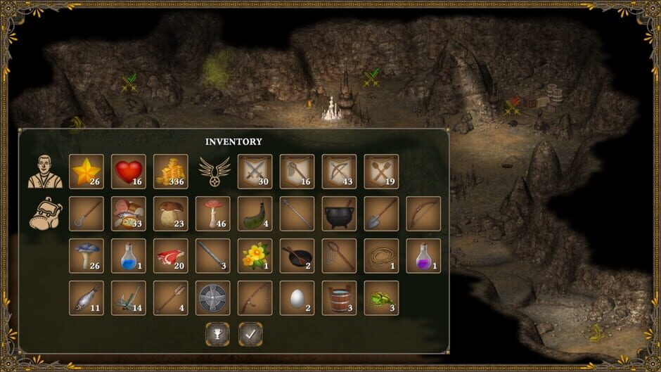 Hero of the Kingdom III Screenshot