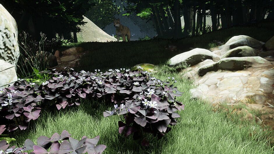 Blood Bond: Into the Shroud Screenshot