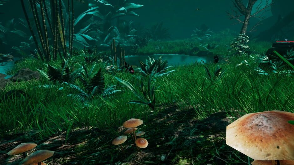 Legendary Hunter VR Screenshot