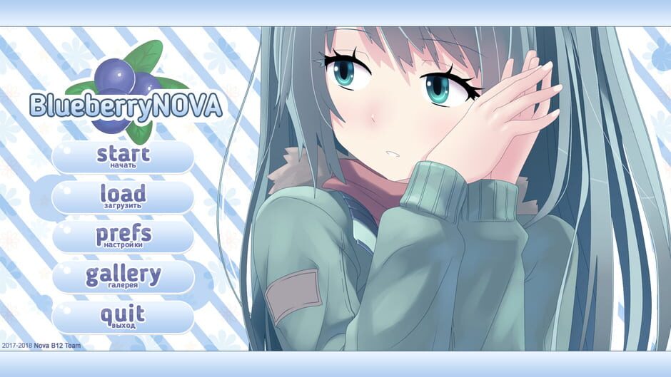 BlueberryNOVA Screenshot