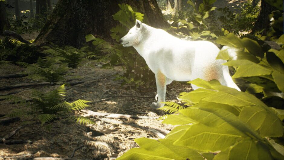Survivalizm - The Animal Simulator Screenshot