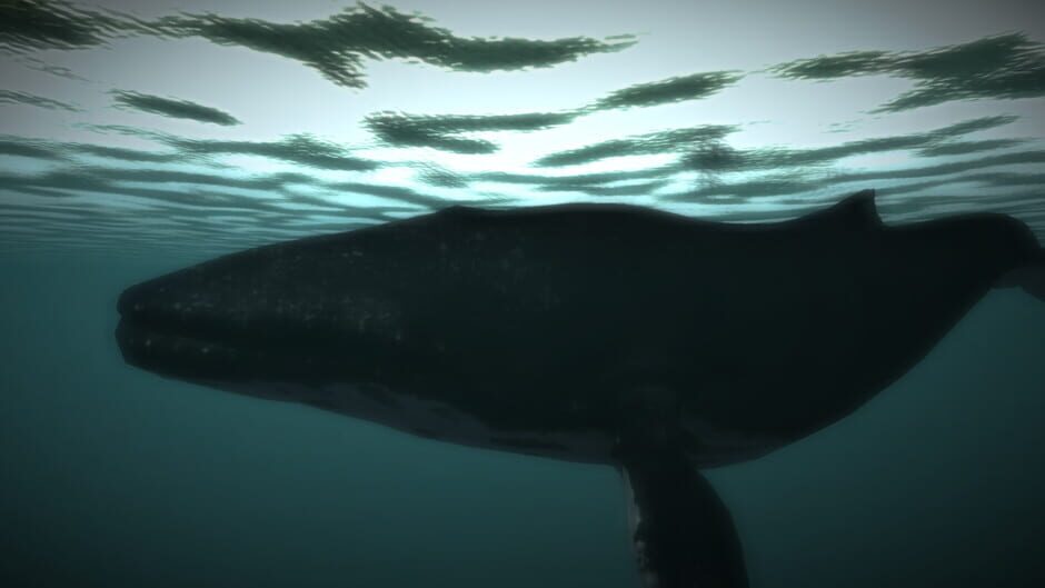 Age of Survival Screenshot