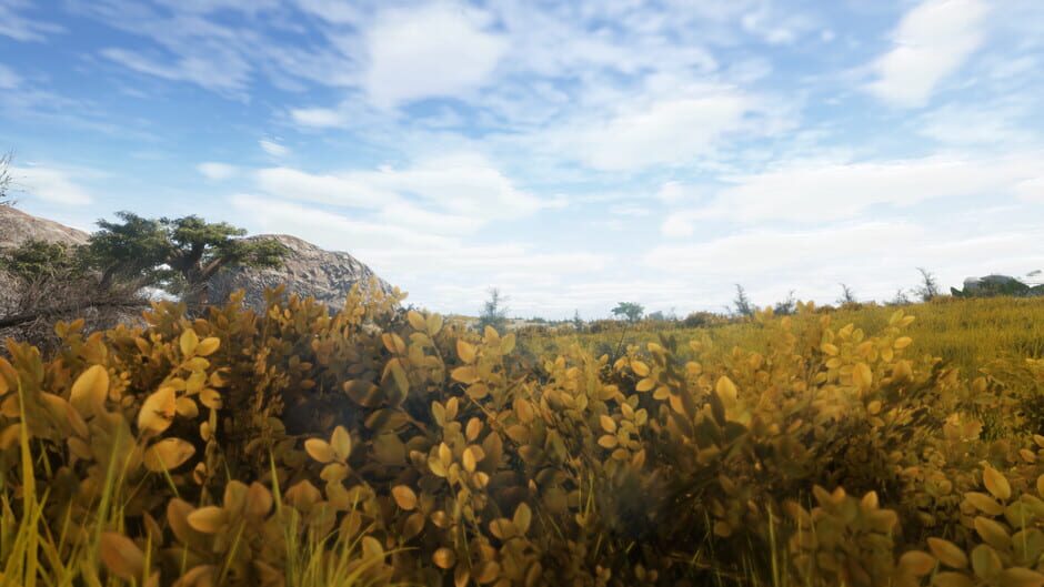 Animallica Screenshot