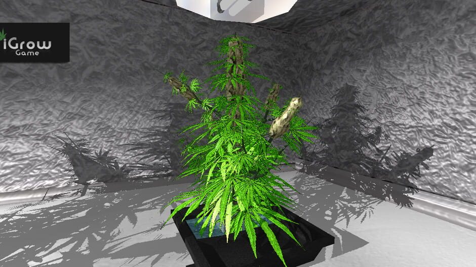 iGrow Game Screenshot