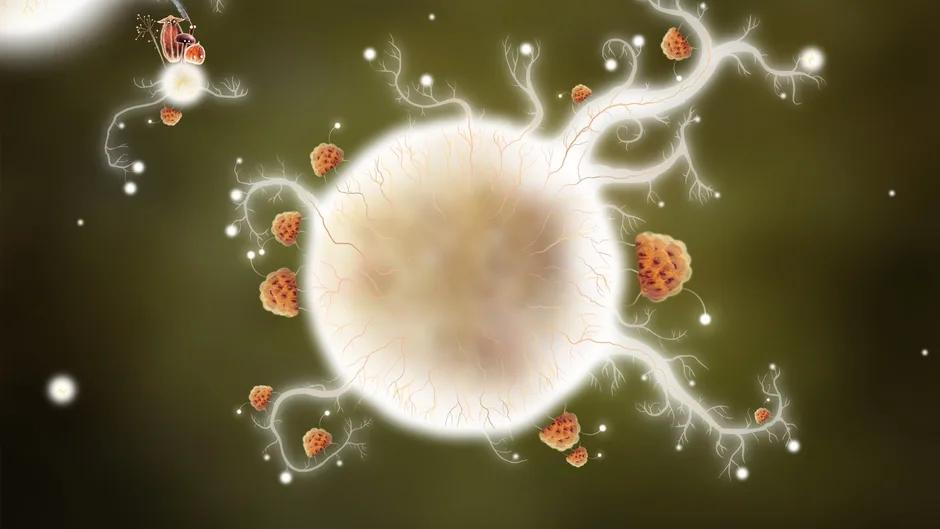 Botanicula, captura de tela 4