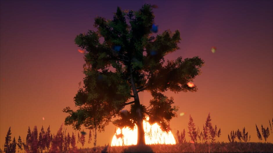 Immersive Poetry Screenshot