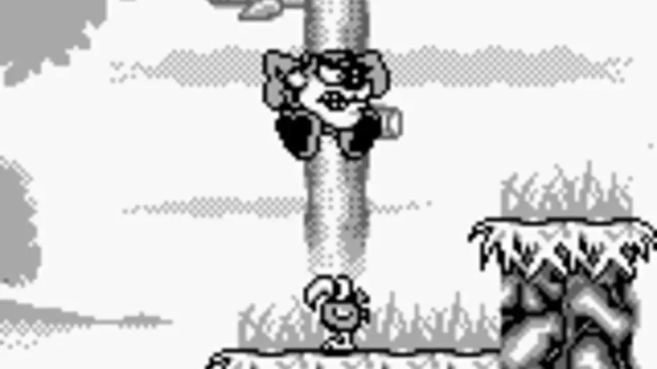 Screenshot 5 aus Taz-Mania
