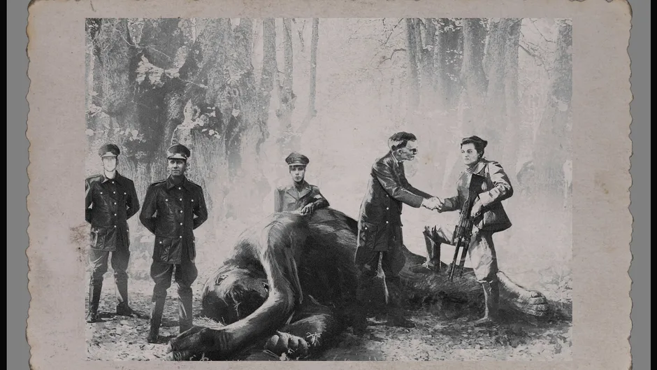 Capture d'écran de l'article