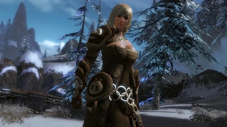 Guild Wars 2, captura de tela 1