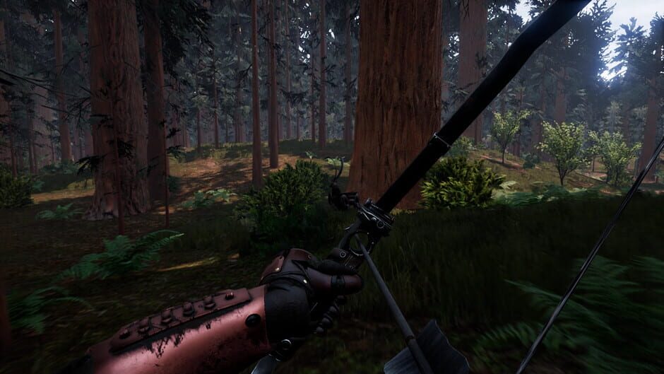 Darco: Reign of Elements Screenshot