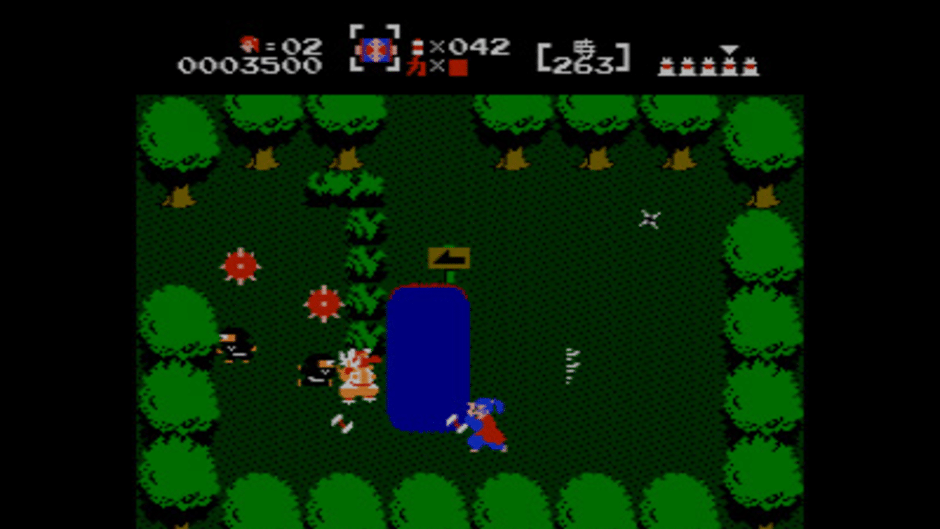 The Mysterious Murasame Castle Screenshot