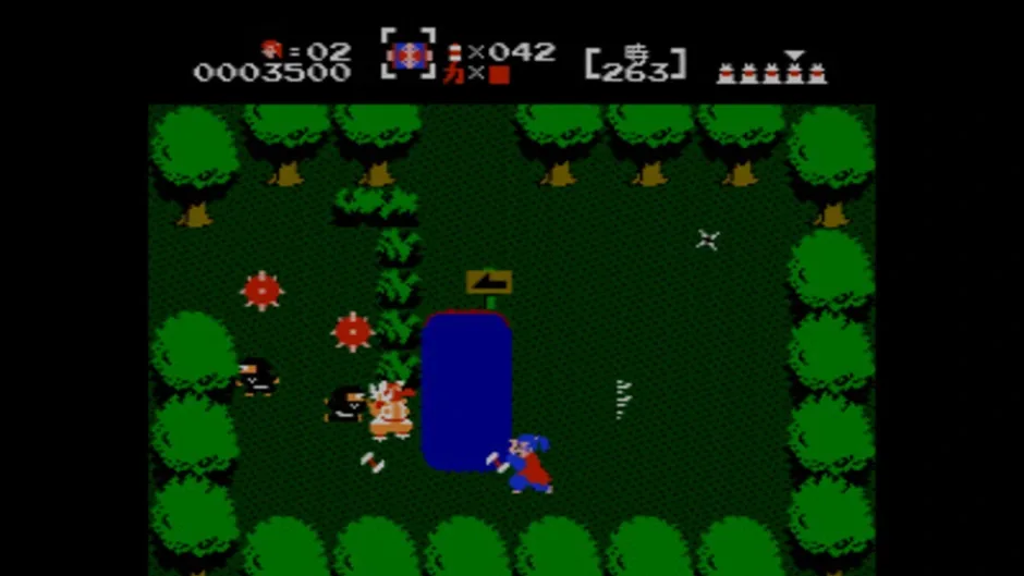 The Mysterious Murasame Castle