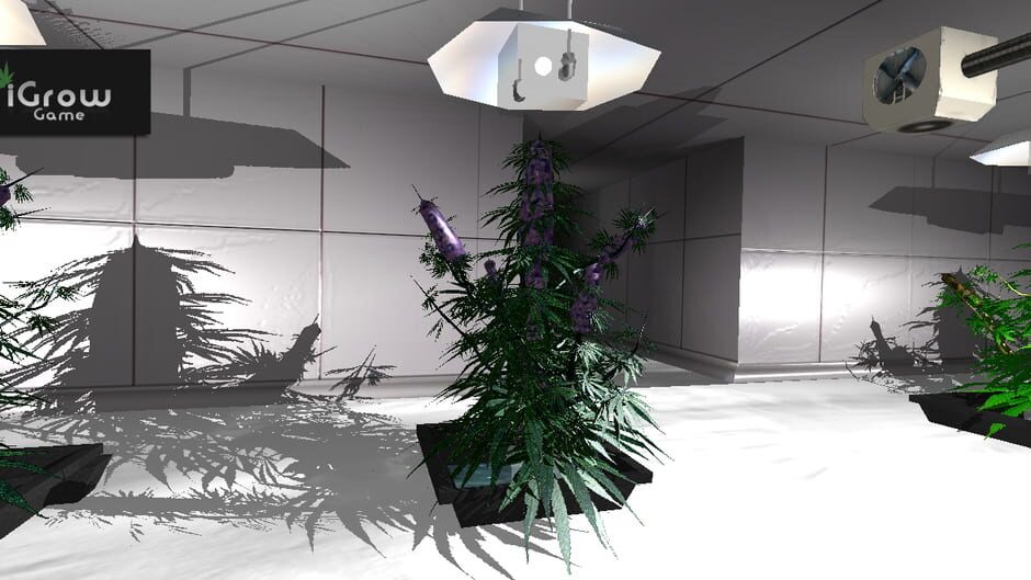 iGrow Game Screenshot