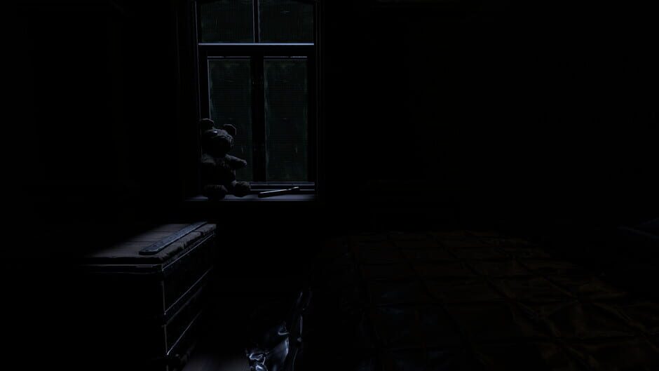 The Unwelcomed Screenshot