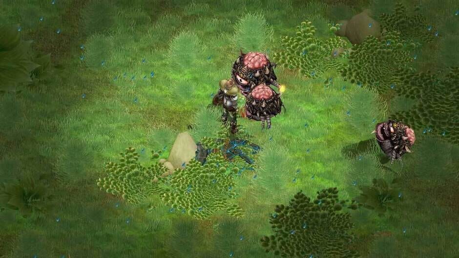 Depths of Peril Screenshot