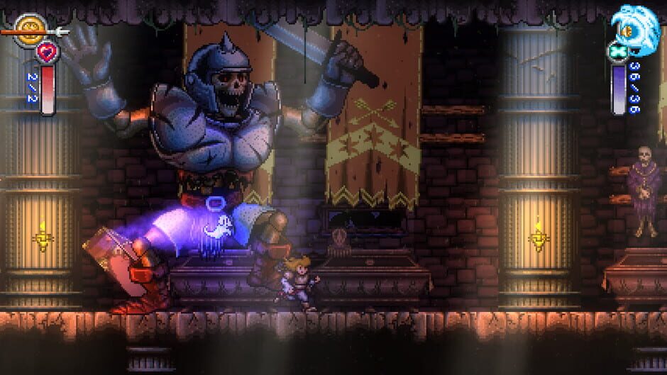 Battle Princess Madelyn Screenshot