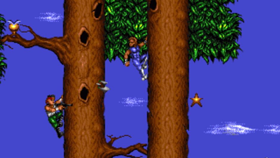 Assassin media thumbnail