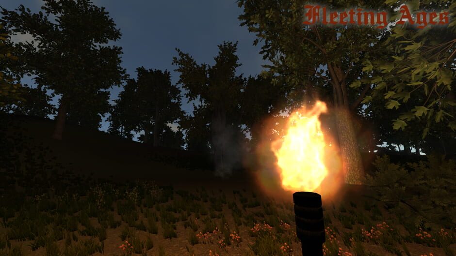 Fleeting Ages Screenshot