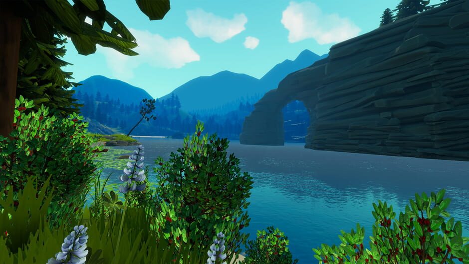 Catch & Release Screenshot