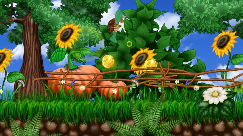 Turtle Lu media thumbnail