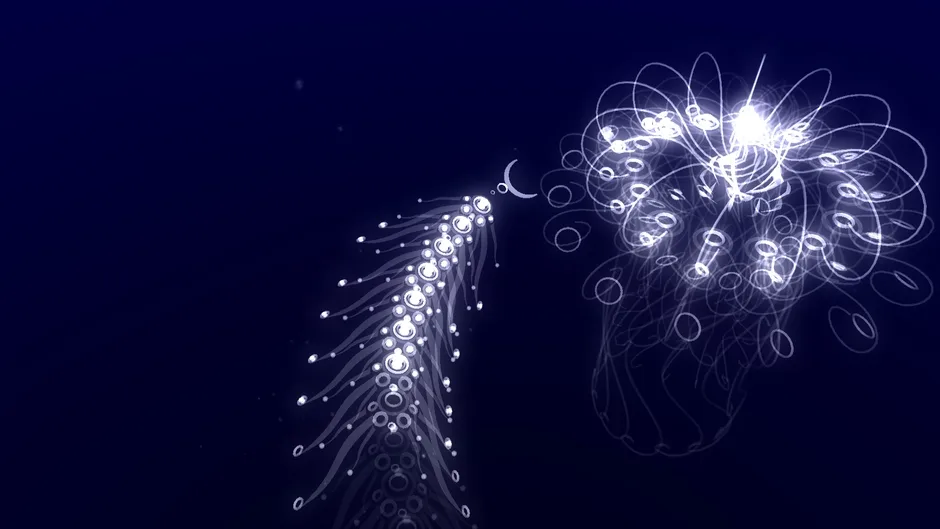 flOw, captura de tela 5
