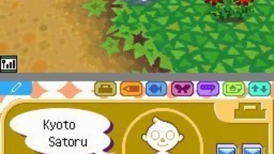 Animal Crossing: Wild World, captura de tela 5