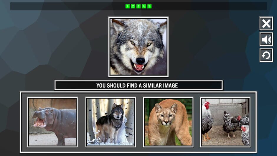สกรีนช็อตจาก Repeat the image: Animals (รูปที่ 2)
