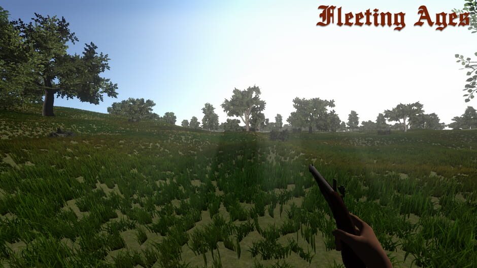 Fleeting Ages Screenshot