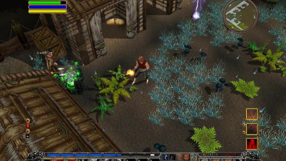 Din's Curse Screenshot