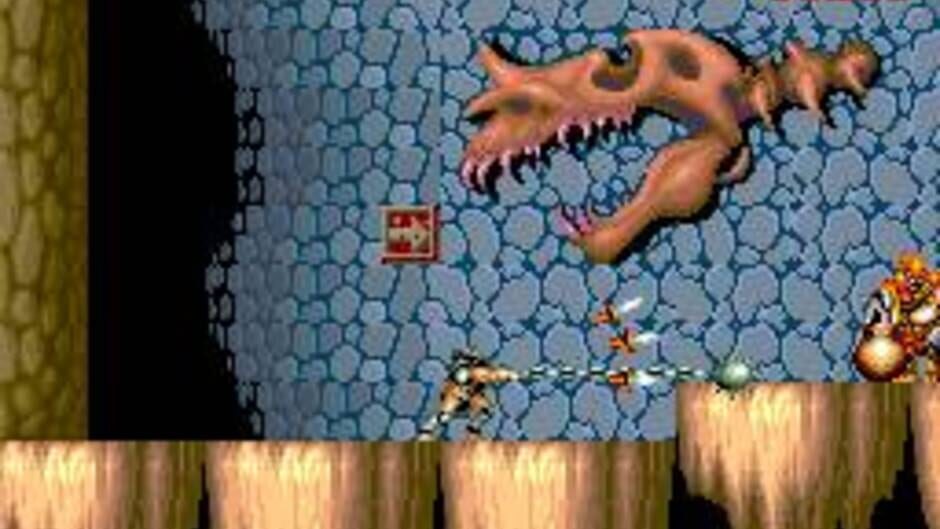 Black Tiger screenshot