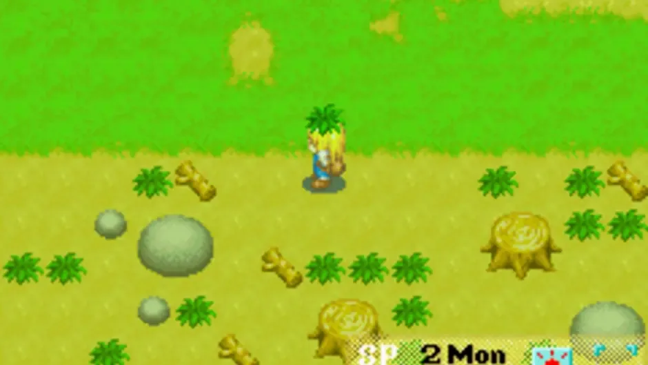 Harvest Moon: More Friends of Mineral Town, captura de tela 1