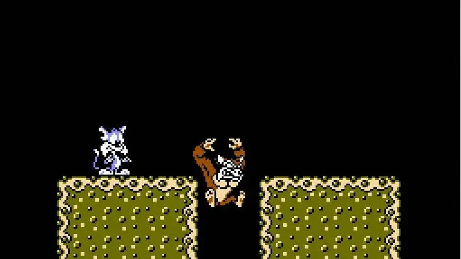 Tiny Toon Adventures, captura de tela 3