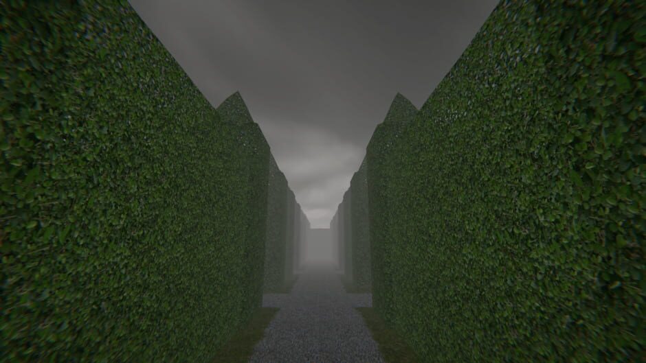 Project Maze Screenshot