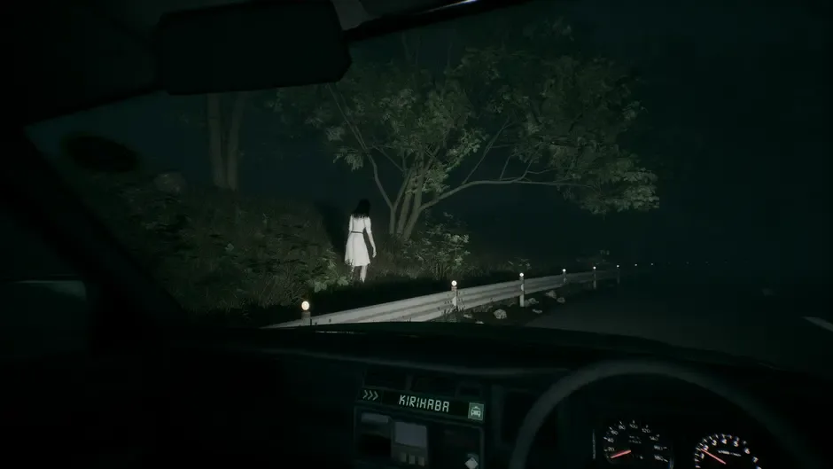 Кадър от Road to Jukai