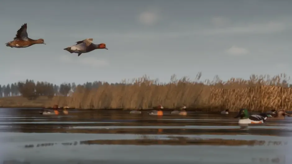 Bult: Hunting Simulator