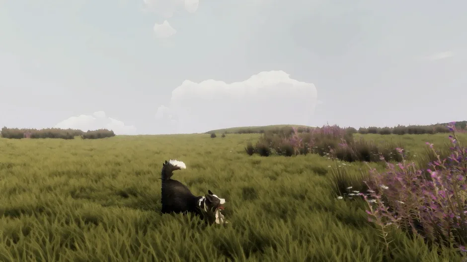 Кадър от The Free Shepherd