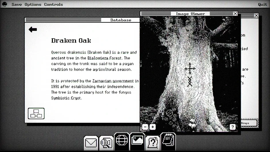 Capture d'écran de l'article