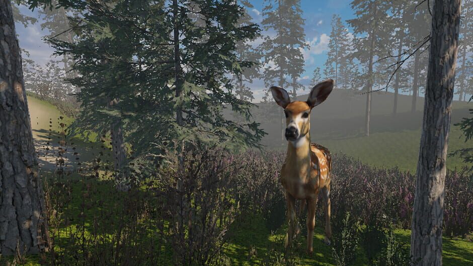 Zory screenshot