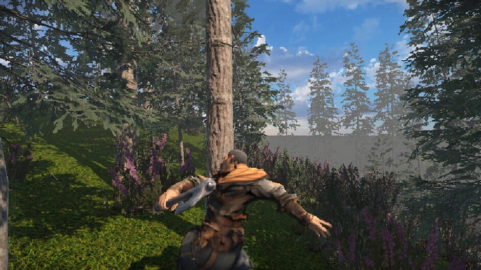 Zory screenshot