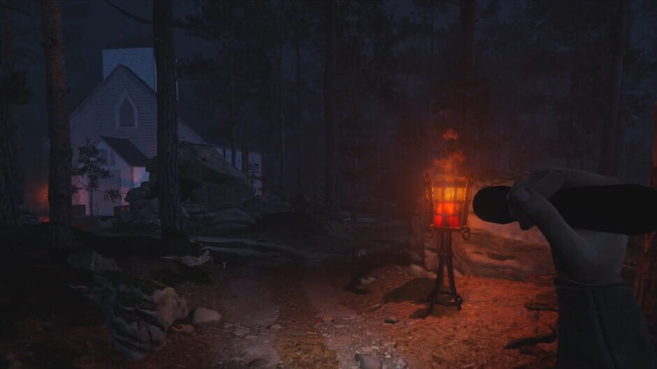 The Forest Watches media thumbnail