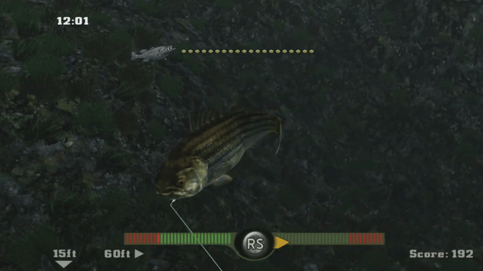 Rapala Fishing Frenzy 2009 Screenshot