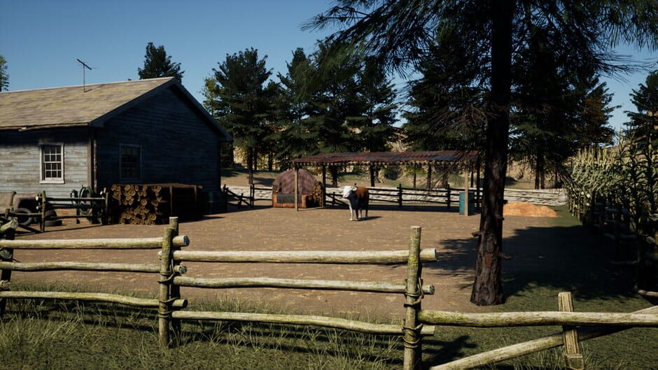 Screenshots The Witch and the Lost Babies