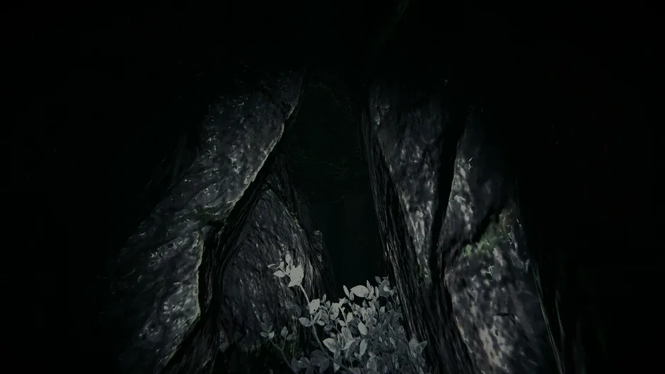 Кадър от Shroud of the Woods