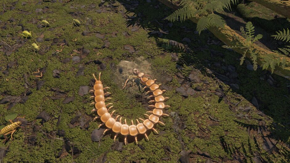 Screenshots Centipede Simulator