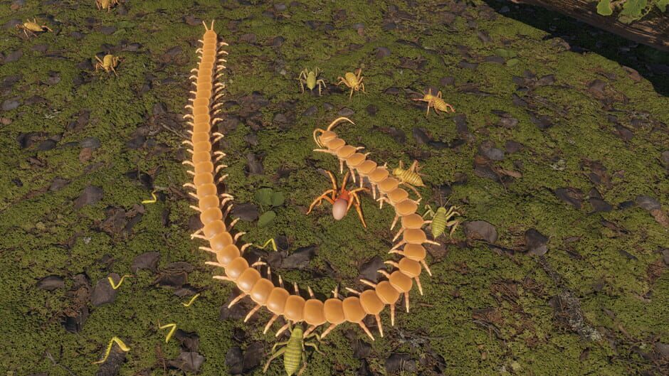 Screenshots Centipede Simulator