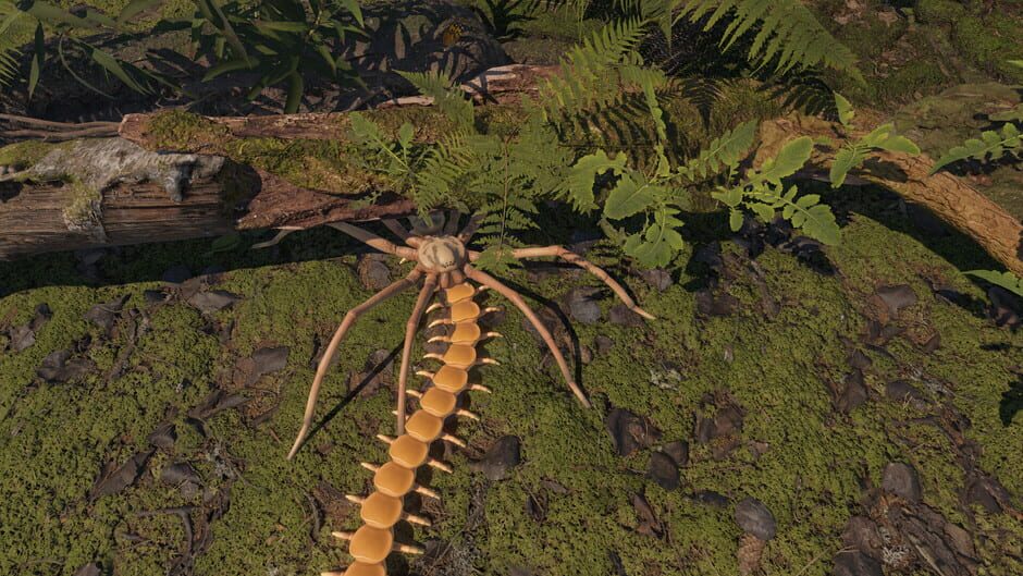 Screenshots Centipede Simulator