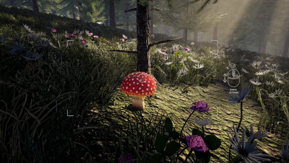 Screenshots Forager's Finds