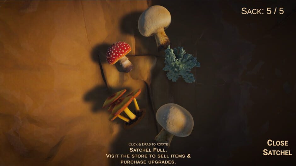 Screenshots Forager's Finds