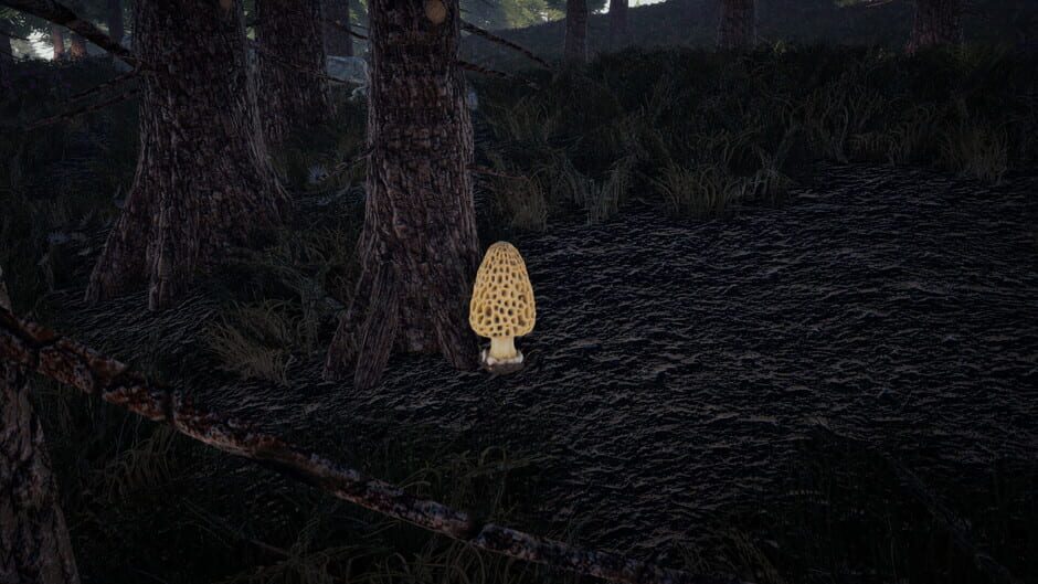 Screenshots Forager's Finds